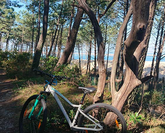 camping pour vtt a biscarrosse